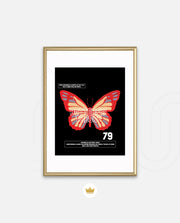 Butterfly Theory