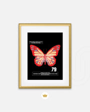 Butterfly Theory