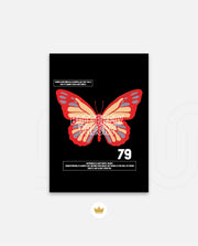 Butterfly Theory