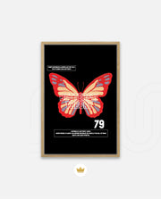 Butterfly Theory