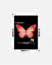 Butterfly Theory