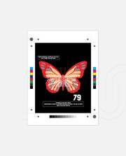 Butterfly Theory