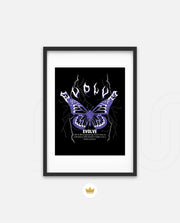 Shock Flutter