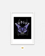 Shock Flutter