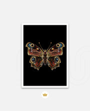 Royal Ember Flutter