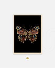 Royal Ember Flutter