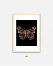 Royal Ember Flutter