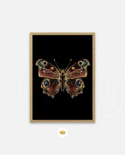 Royal Ember Flutter