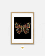 Royal Ember Flutter