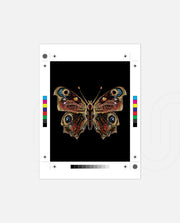Royal Ember Flutter
