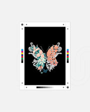 Pastel Bloom Wings