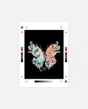 Pastel Bloom Wings
