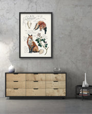 Vintage Fox Naturalist