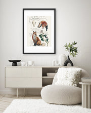 Vintage Fox Naturalist