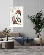 Vintage Fox Naturalist