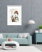Vintage Fox Naturalist