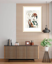 Vintage Fox Naturalist