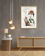 Vintage Fox Naturalist