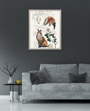 Vintage Fox Naturalist