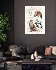 Vintage Fox Naturalist