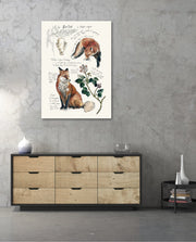Vintage Fox Naturalist