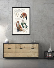 Vintage Fox Naturalist