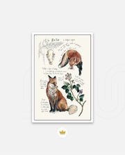 Vintage Fox Naturalist
