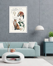 Vintage Fox Naturalist