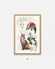Vintage Fox Naturalist