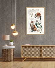 Vintage Fox Naturalist