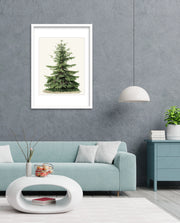Botanical Evergreen Study