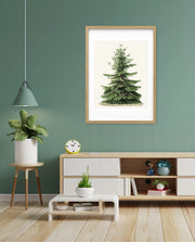 Botanical Evergreen Study