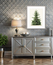 Botanical Evergreen Study