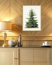 Botanical Evergreen Study