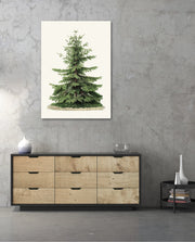 Botanical Evergreen Study