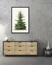 Botanical Evergreen Study