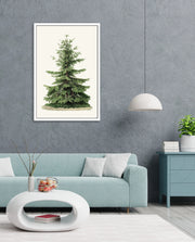 Botanical Evergreen Study