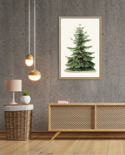 Botanical Evergreen Study