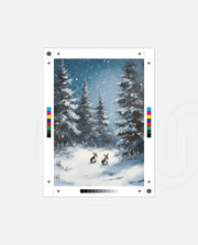 Winter Rabbit Wonderland