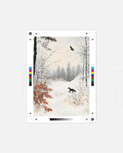 Winter Fox Silence