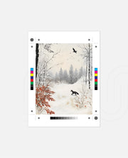 Winter Fox Silence