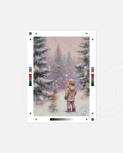 Winter Snowflake Wonder