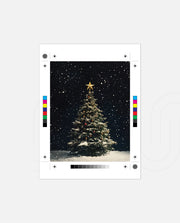 Starlit Christmas Tree
