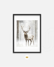 Majestic Winter Stag