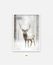 Majestic Winter Stag