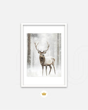Majestic Winter Stag