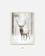 Majestic Winter Stag