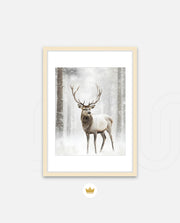 Majestic Winter Stag
