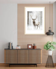 Majestic Winter Stag