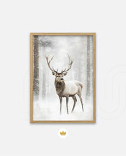 Majestic Winter Stag